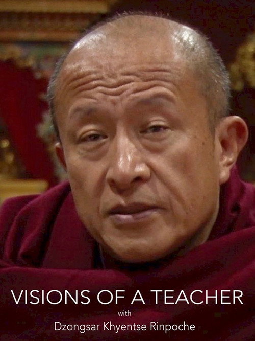 Movie poster for Visions of a Teacher (2019)