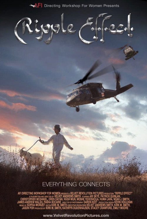 Movie poster for Ripple Effect (2011)