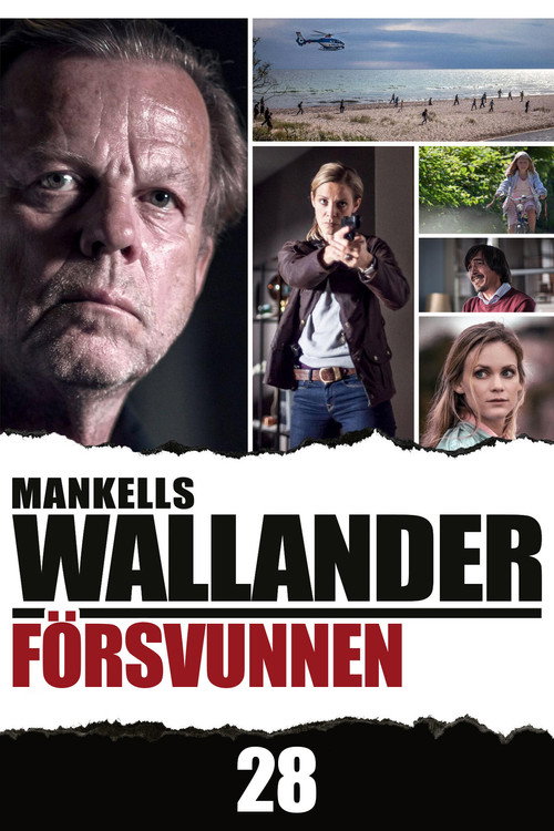 Movie poster for Wallander: Missing (2013)