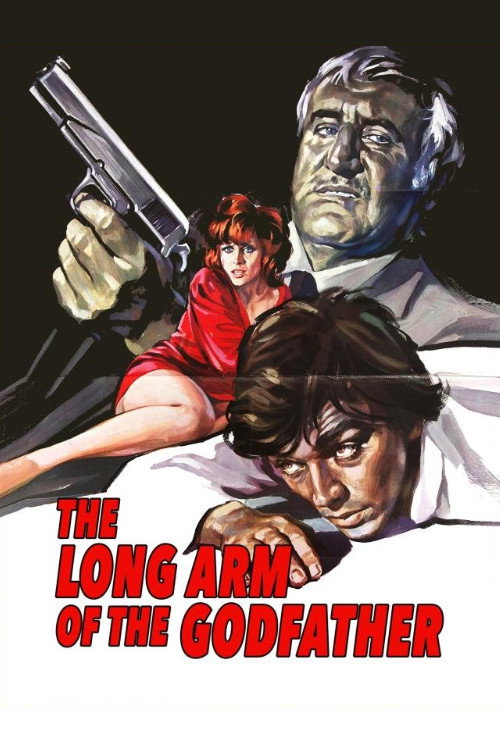 Movie poster for The Long Arm of the Godfather (1972)