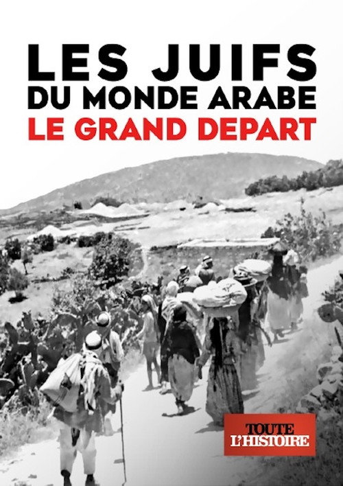 Movie poster for Les Juifs du monde arabe, le grand départ (2018)