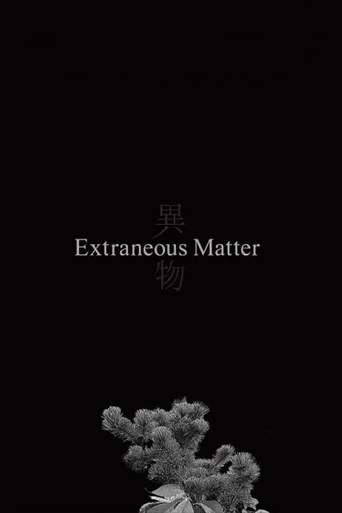 Movie poster for Extraneous Matter (2020)