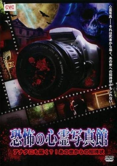 Movie poster for Haunted Photo Gallery of Terror (2010)