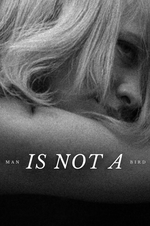 Movie poster for Man Is Not a Bird (1965)