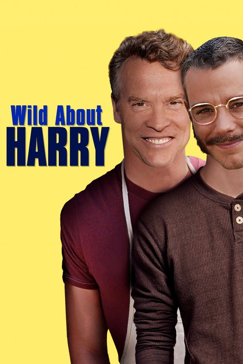 Movie poster for Wild About Harry (2009)