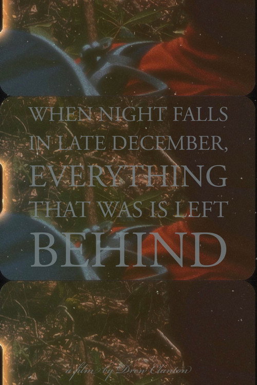 Movie poster for When Night Falls in Late December, Everything That Was is Left Behind