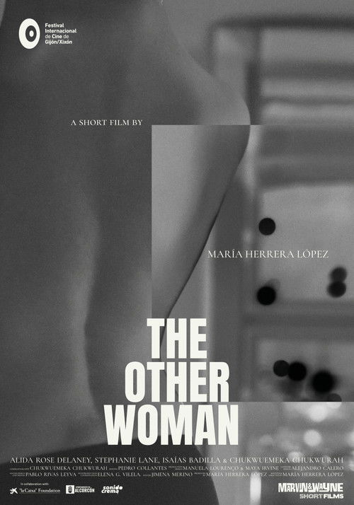 Movie poster for The Other Woman (2025)