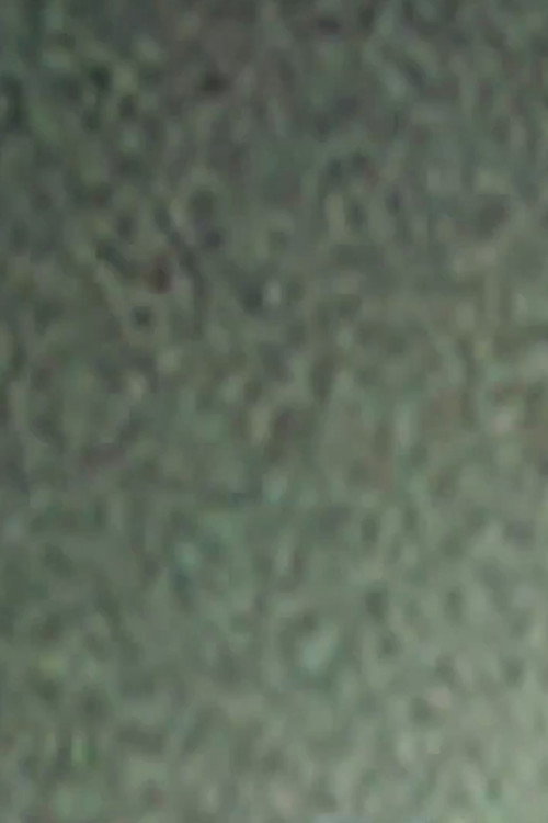 Movie poster for Noise, Outer Space, Moonlight, Waves (2011)