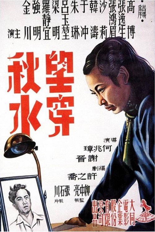 Movie poster for 望穿秋水 (1948)