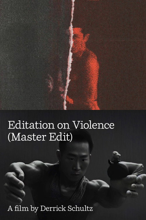 Movie poster for Editation on Violence (Master Edit) (2024)