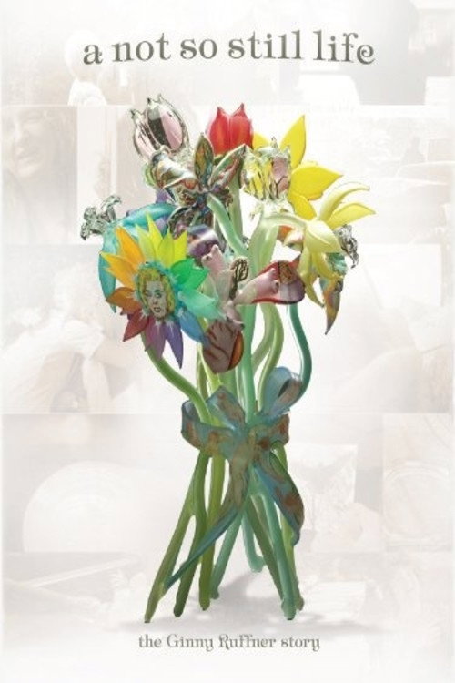 Movie poster for A Not So Still Life (2010)