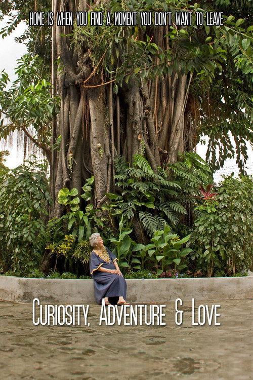 Movie poster for Curiosity, Adventure and Love (2016)