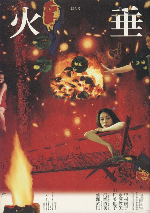Movie poster for Firefly (2001)