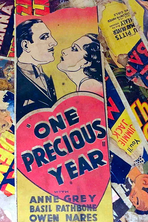 One Precious Year poster