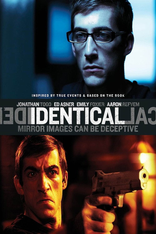 Movie poster for Identical (2011)