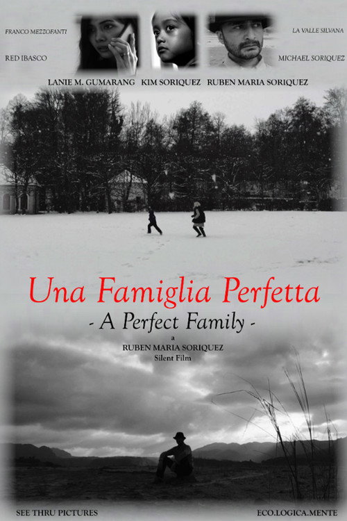 Movie poster for A Perfect Family