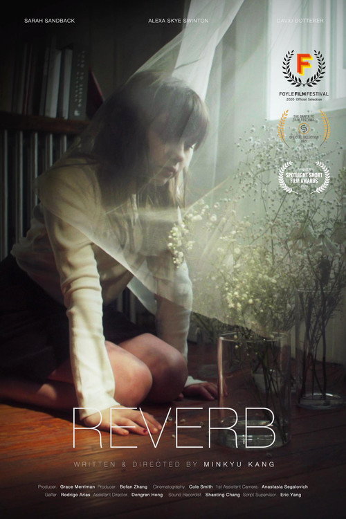 Movie poster for Reverb (2020)