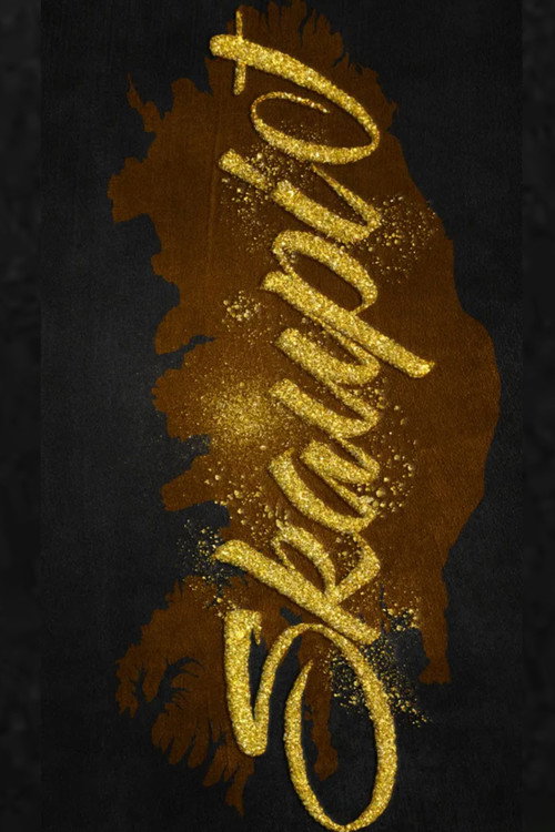 Movie poster for Áramótaskaup: 2024 (2024)