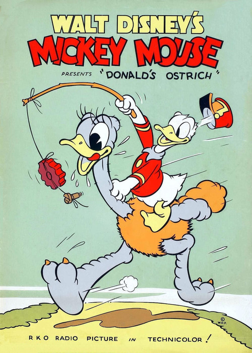 Movie poster for Donald's Ostrich (1937)
