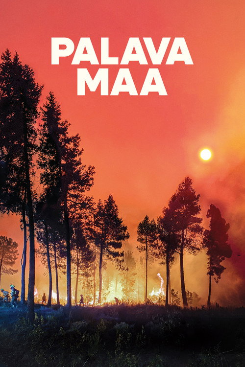 Movie poster for Lessons in Fire (2025)