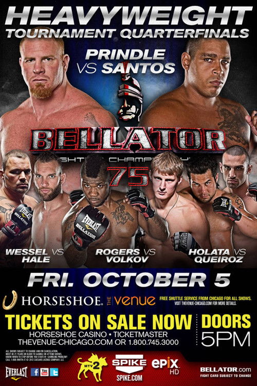 Movie poster for Bellator 75 (2012)