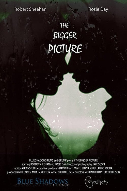 Movie poster for The Bigger Picture (2016)
