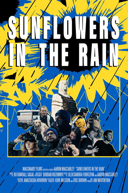 Movie poster for Sunflowers in the Rain (2024)
