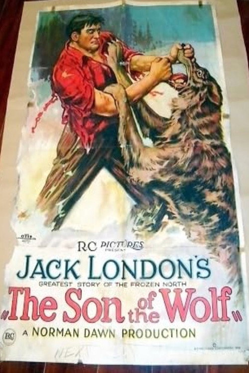 Movie poster for The Son of the Wolf (1922)