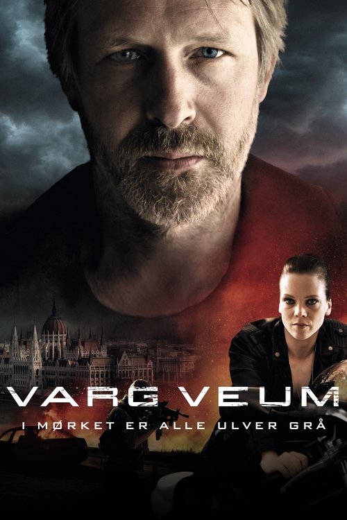 Movie poster for Varg Veum - At Night All Wolves Are Grey (2011)