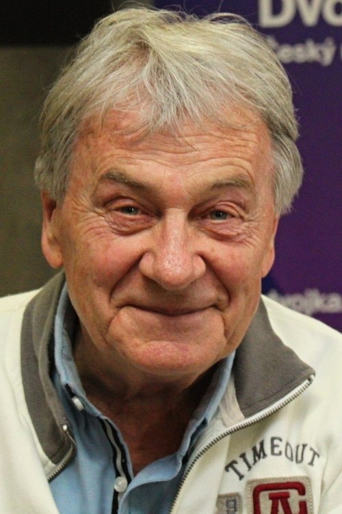 Photo of Jaroslav Vízner, Acting