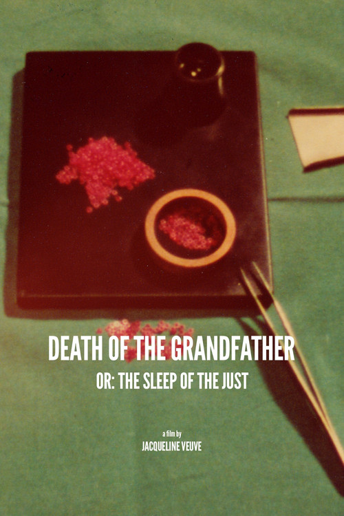 Movie poster for Death of the Grandfather or: The Sleep of the Just (1978)