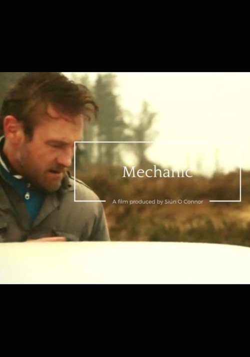 Movie poster for Mechanic (2013)