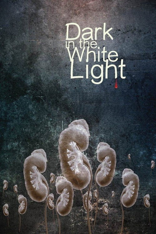 Movie poster for Dark in the White Light (2015)