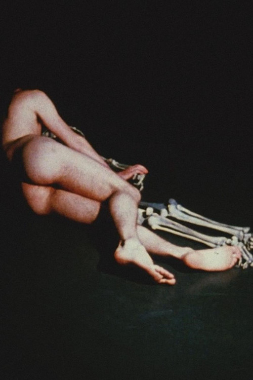 Movie poster for The Mysteries (1968)