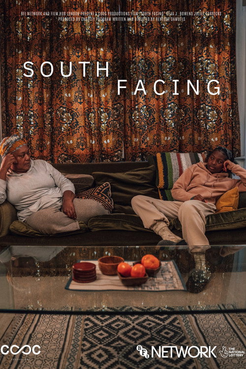 Movie poster for South Facing (2023)