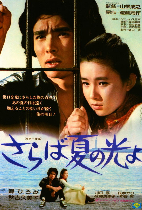 Movie poster for Light and Shade of Youth (1976)