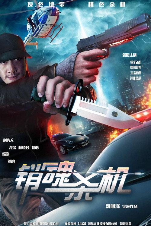 Movie poster for 销魂杀机 (2016)