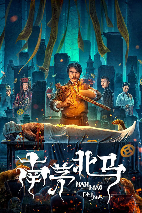 Movie poster for Southern Mao and Northern Ma (2023)