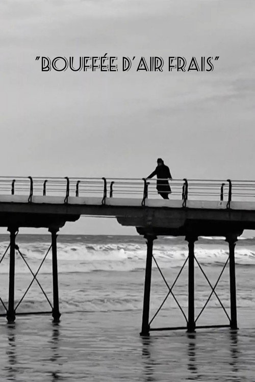 Movie poster for Breath of Fresh Air (2023)
