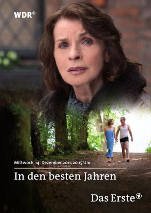 Movie poster for In den besten Jahren (2011)
