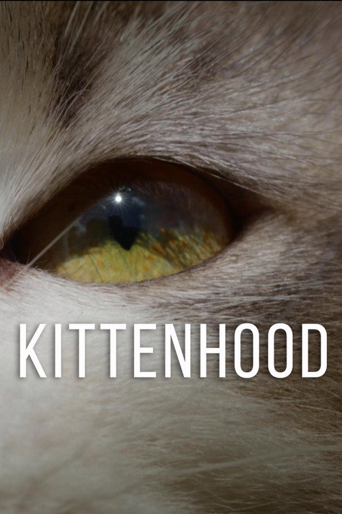 Movie poster for Kittenhood (2015)