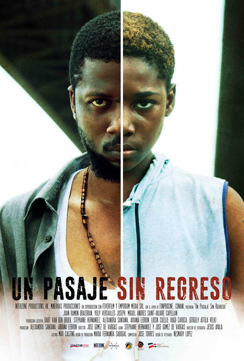 Movie poster for One Way Journey