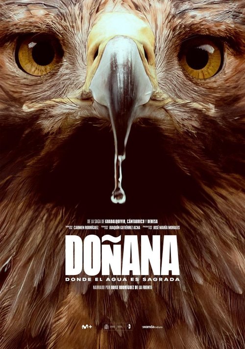 Movie poster for Doñana (2025)