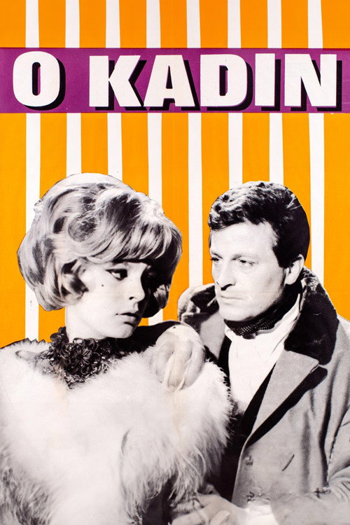 Movie poster for O Kadın (1966)