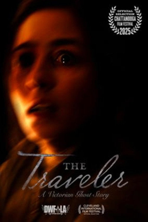 Movie poster for The Traveler (2025)