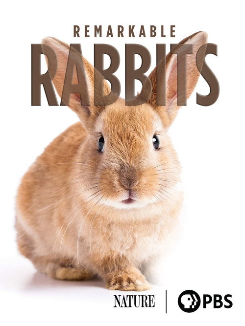 Movie poster for Remarkable Rabbits (2020)