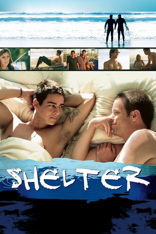 Movie poster for Shelter (2007)