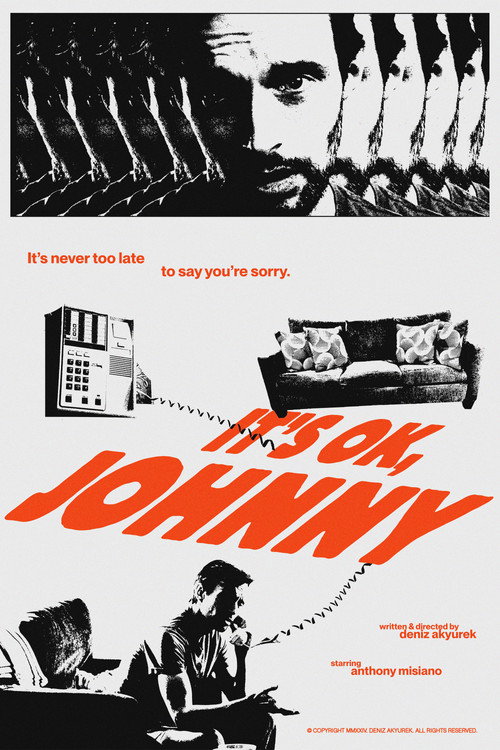 Movie poster for It's OK, Johnny (2025)
