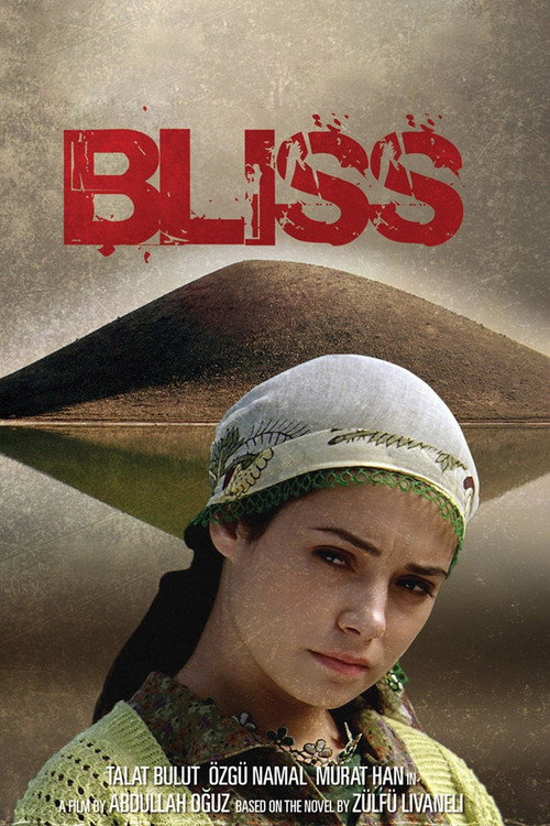 Movie poster for Bliss (2007)
