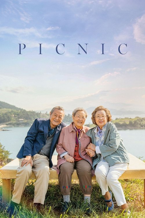 Movie poster for Picnic (2024)